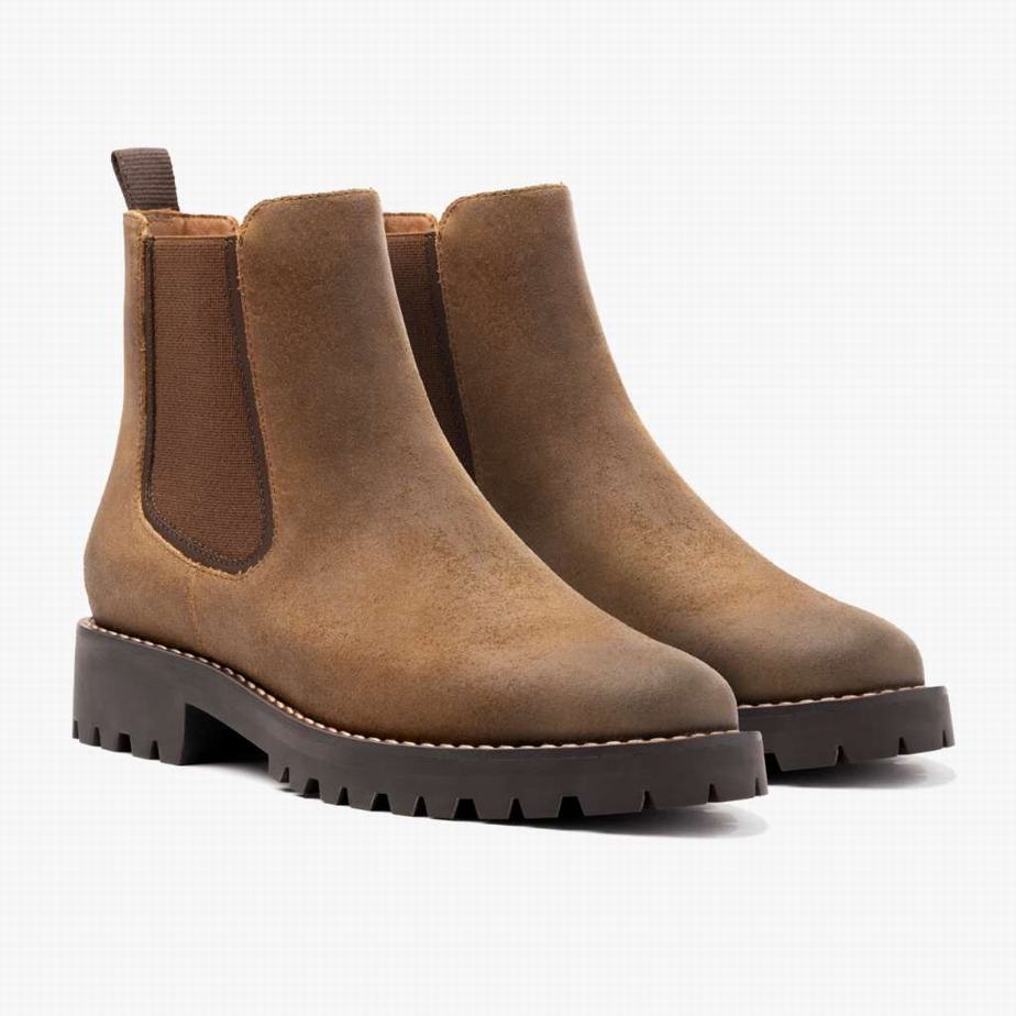 Buty Chelsea Thursday Boots Legend Damskie Safari | JFK4989YH