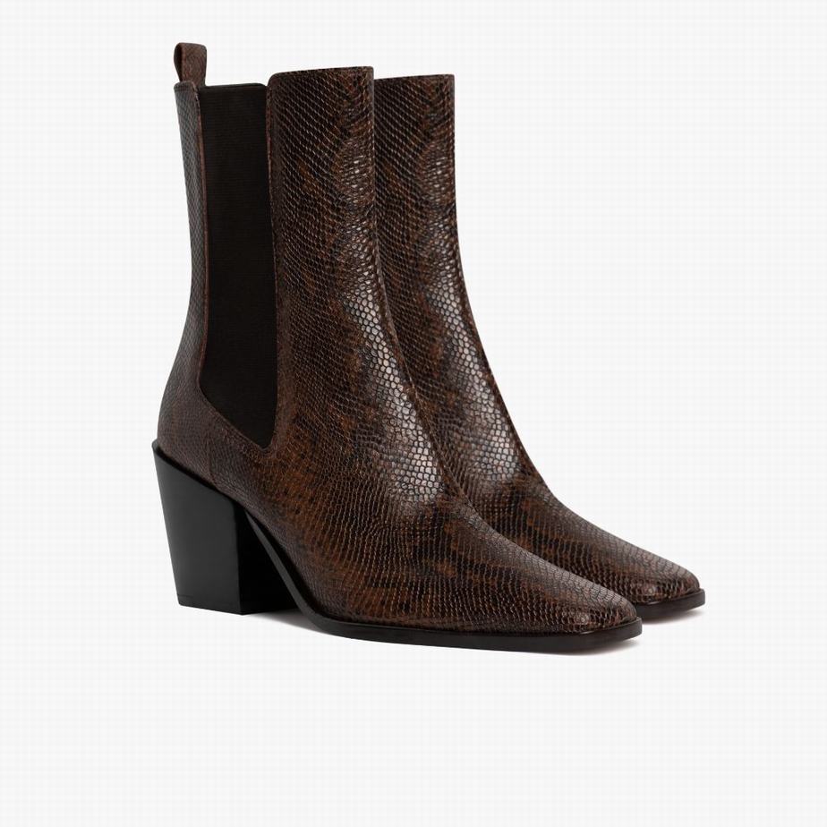 Buty Chelsea Thursday Boots Soho Damskie Czekolada Wąż | FVR5833MK