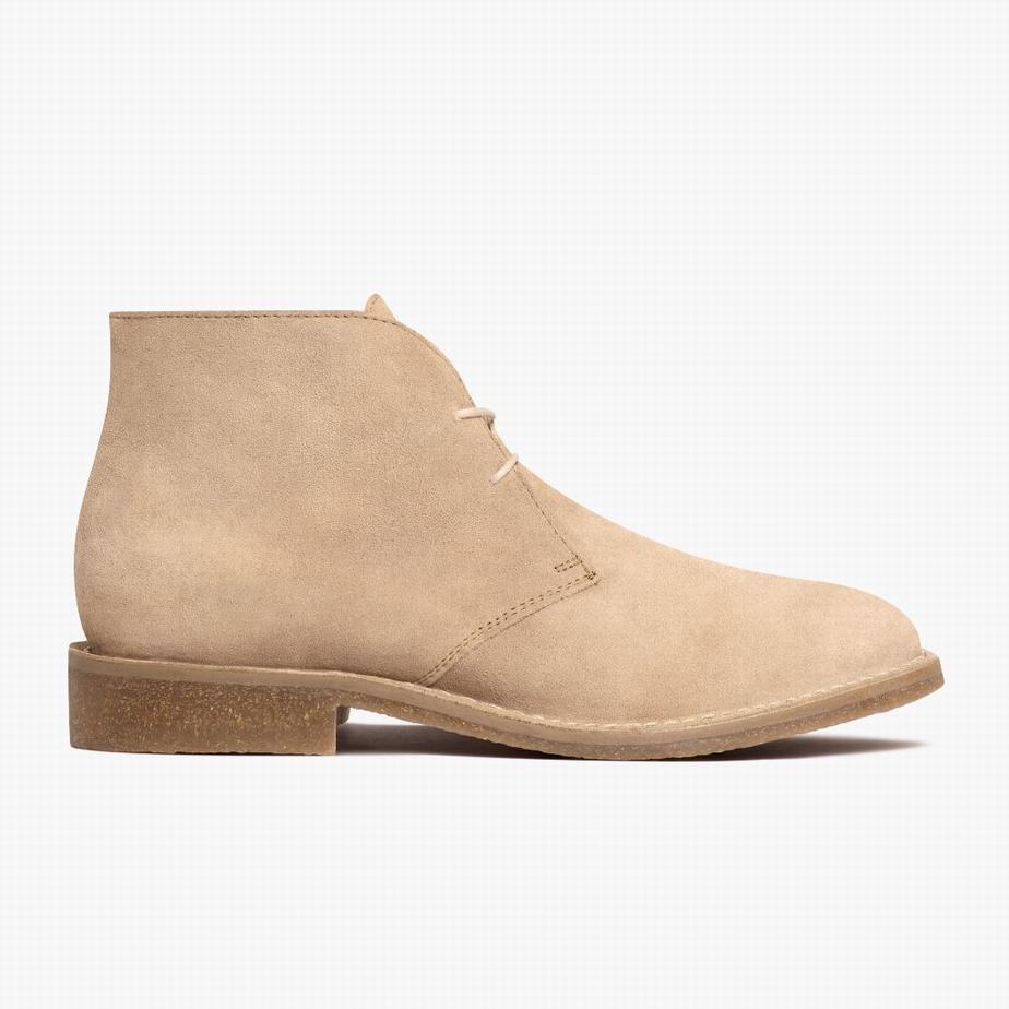 Buty Chukka Thursday Boots Scout Męskie Dune | IIE418OX