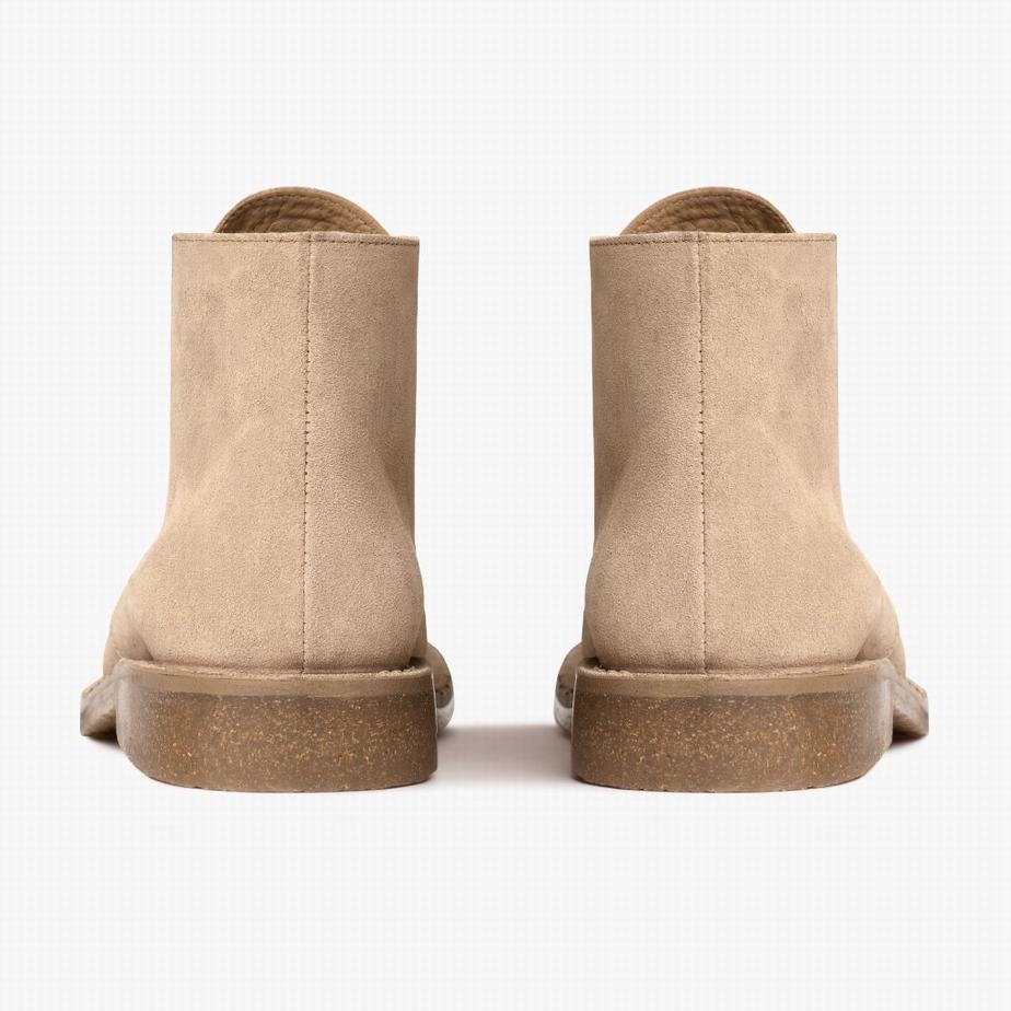 Buty Chukka Thursday Boots Scout Męskie Dune | IIE418OX