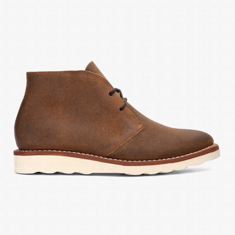 Buty Chukka Thursday Boots Scout Męskie Safari | SMU7670ET