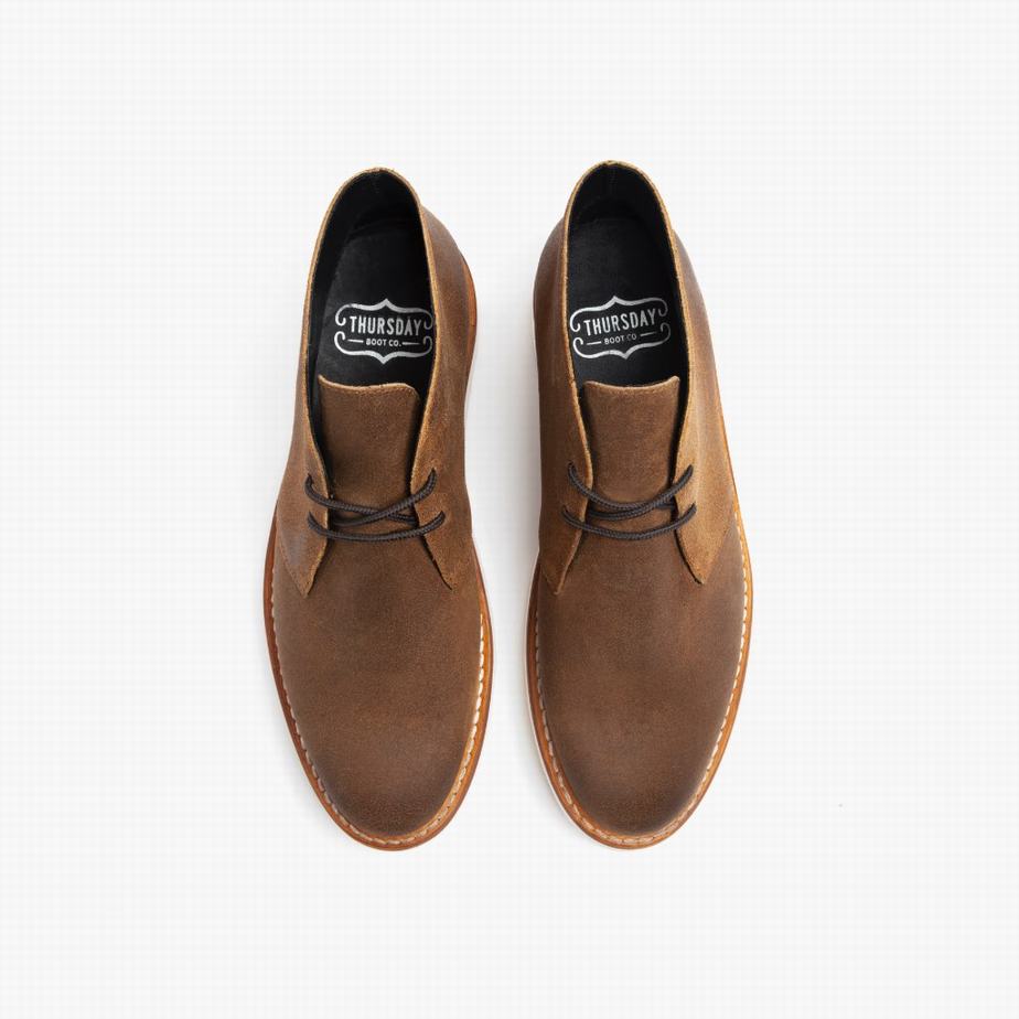 Buty Chukka Thursday Boots Scout Męskie Safari | SMU7670ET