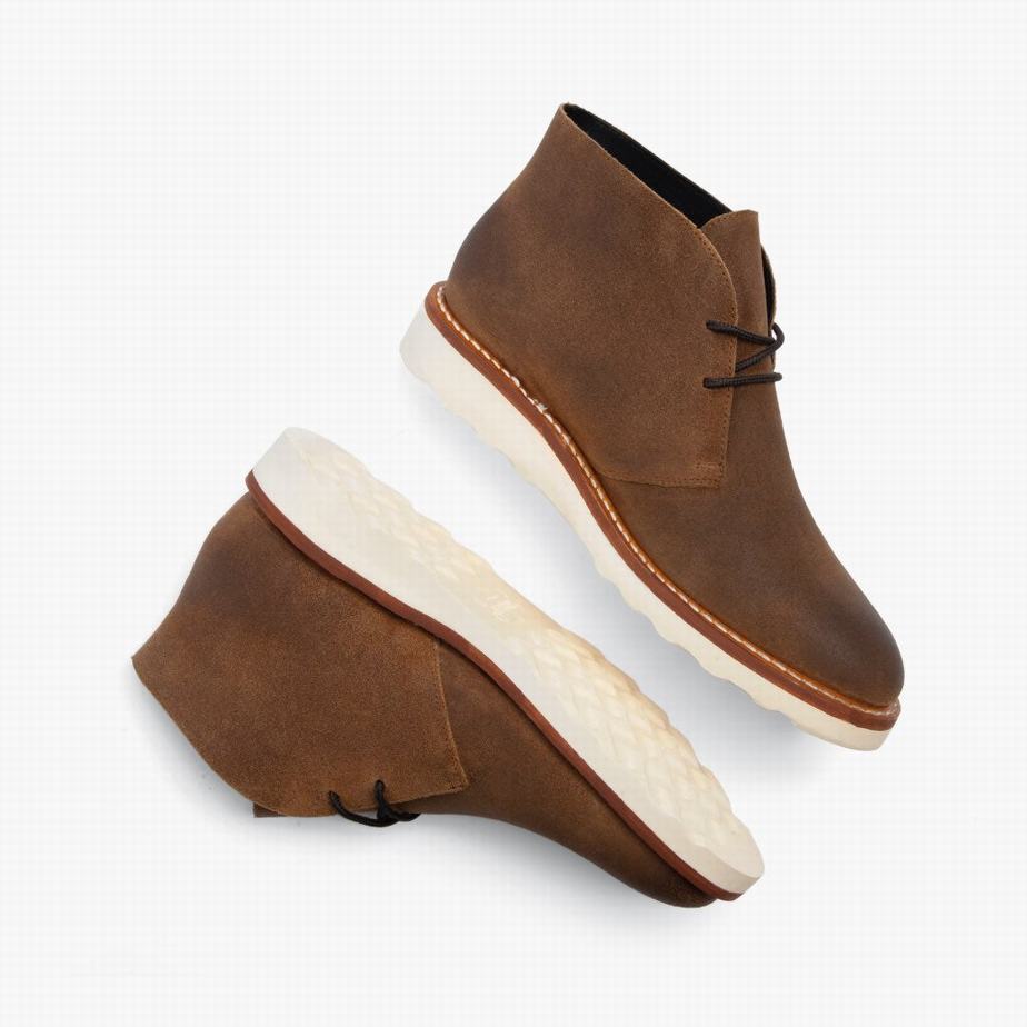 Buty Chukka Thursday Boots Scout Męskie Safari | SMU7670ET