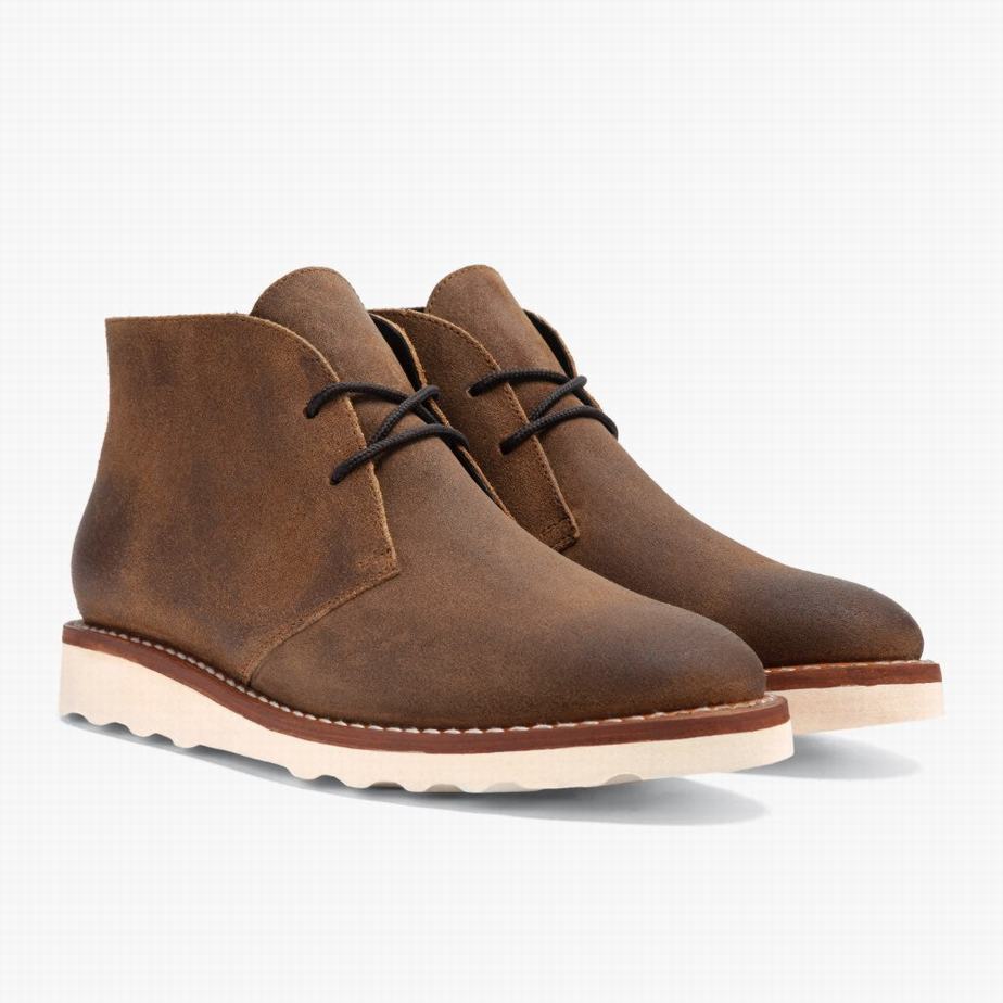 Buty Chukka Thursday Boots Scout Męskie Safari | SMU7670ET